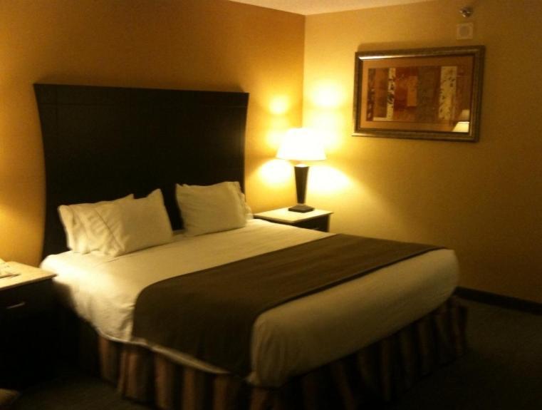 Hotel Indigo Rochester - Mayo Clinic Area Habitación foto